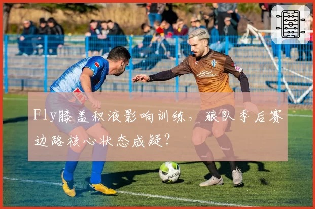 Fly膝盖积液影响训练，狼队季后赛边路核心状态成疑？
