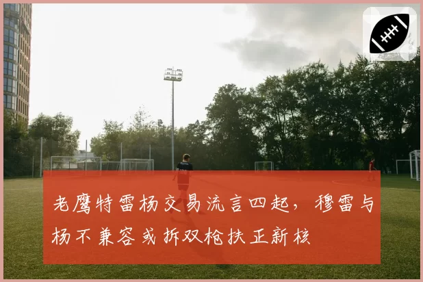 老鹰特雷杨交易流言四起,穆雷与杨不兼容或拆双枪扶正新核