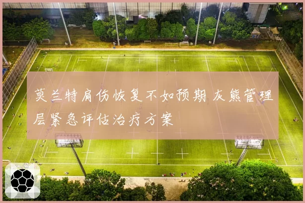 莫兰特肩伤恢复不如预期 灰熊管理层紧急评估治疗方案