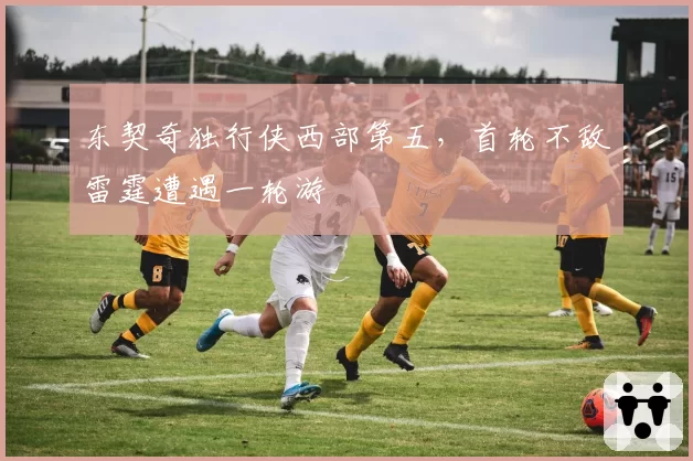 东契奇独行侠西部第五，首轮不敌雷霆遭遇一轮游