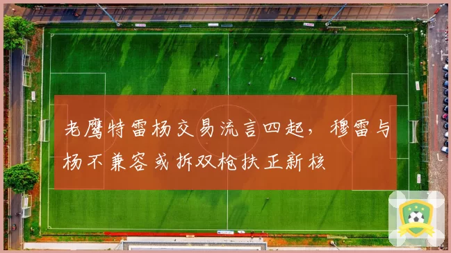 老鹰特雷杨交易流言四起，穆雷与杨不兼容或拆双枪扶正新核