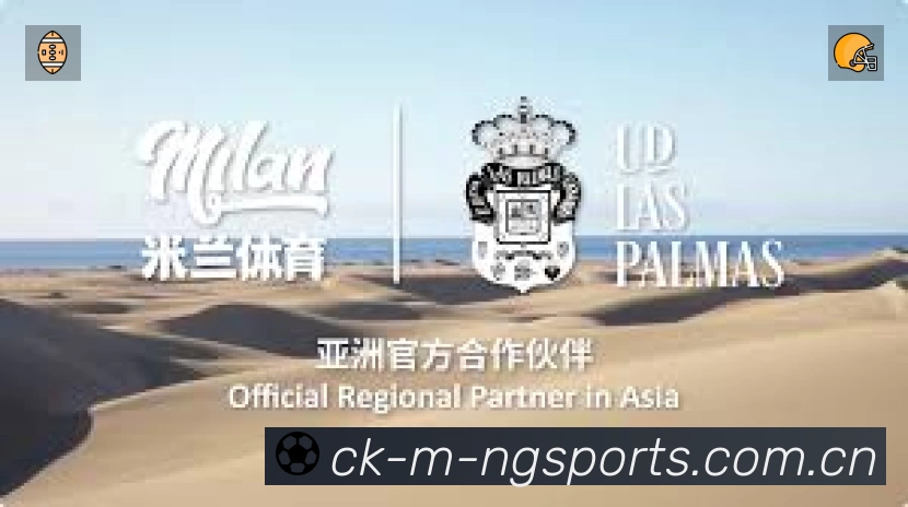 NG体育中国平台展示图